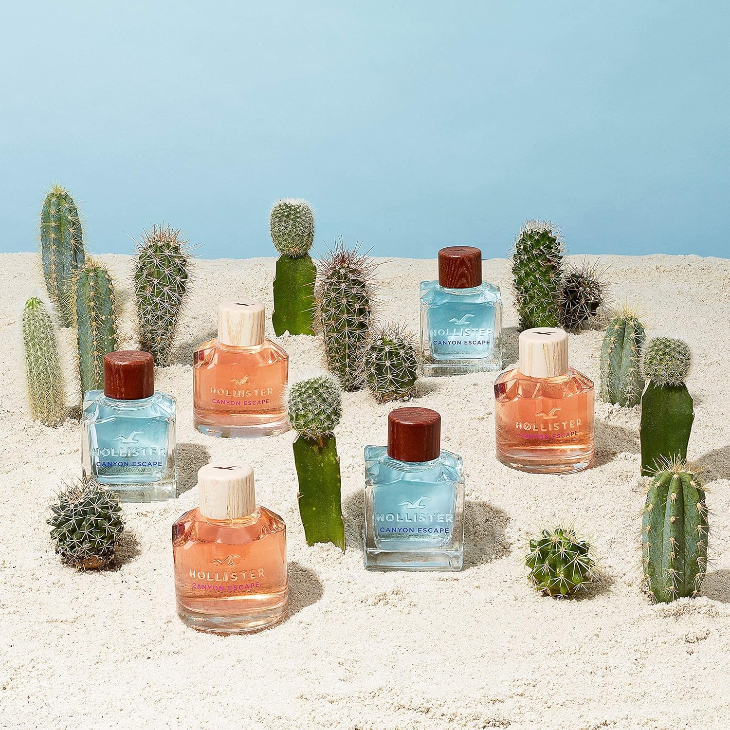 Hollister Canyon Escape Eau De Parfum Spray for Women 100 Ml image number 2