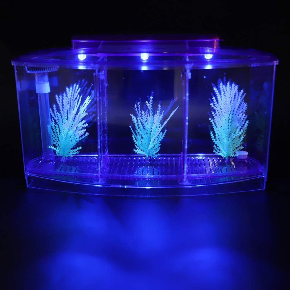Three Areas Small Aquarium, Transparent Fish Tank, Desktop with Water Change Valve with LED Light for Betta Small Fishes(Purple 11X3.9X5.9In) image number 6