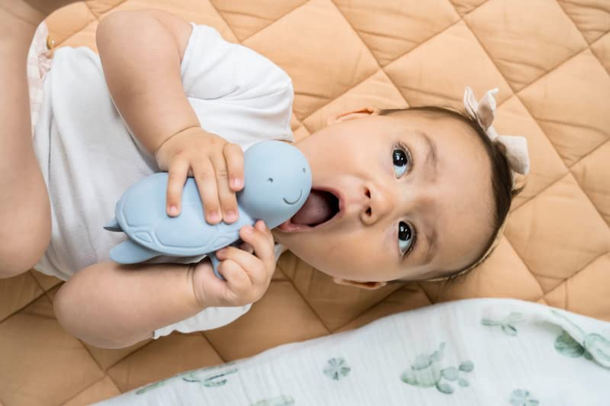 Tikiri Ocean Buddies Marshmallow Fully Enclosed Natural Rubber Bath Toy Set