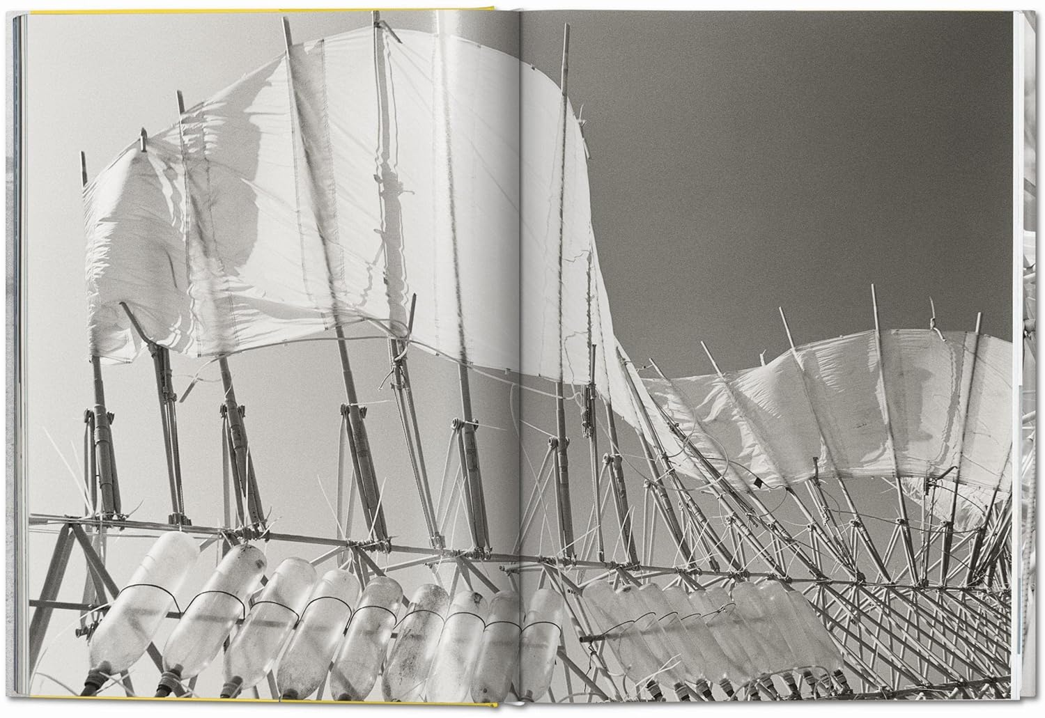 Lena Herzog. Strandbeest. the Dream Machines of Theo Jansen image number 1