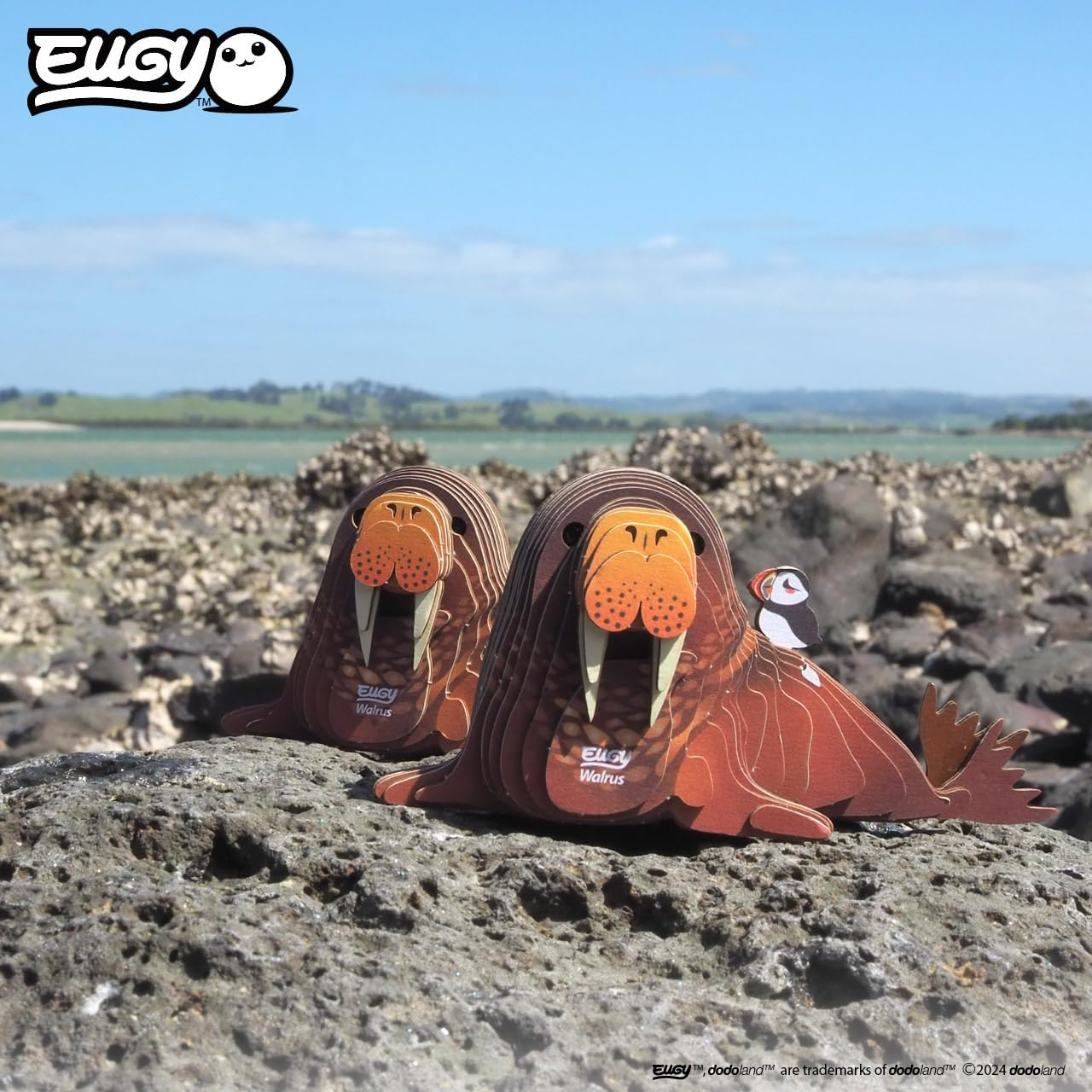 EUGY 107 Walrus Eco-Friendly 3D Paper Puzzle [New Seal] image number 2