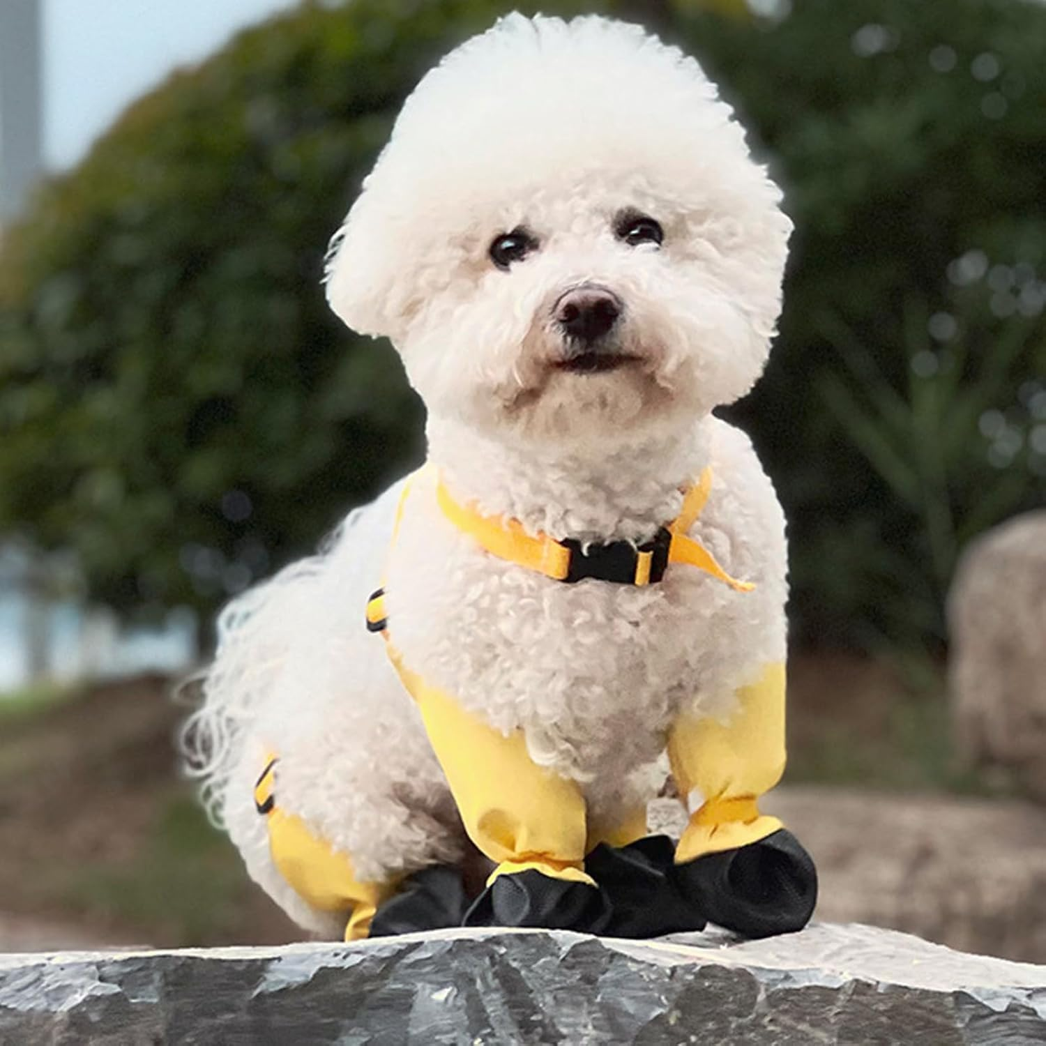 Dog Suspender Booties, Abrasion Proof Dog Paws Boot Leggings anti Slip Snow Water Proof, Adjustable Suspender Boots for Dogs Winter Snow Rain Hiking Paws Protector (XL) image number 3