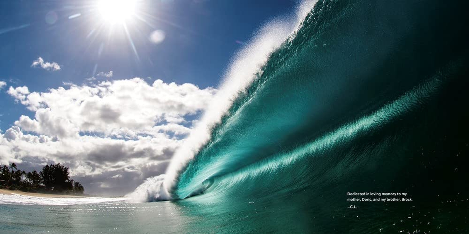 Clark Little: the Art of Waves image number 3