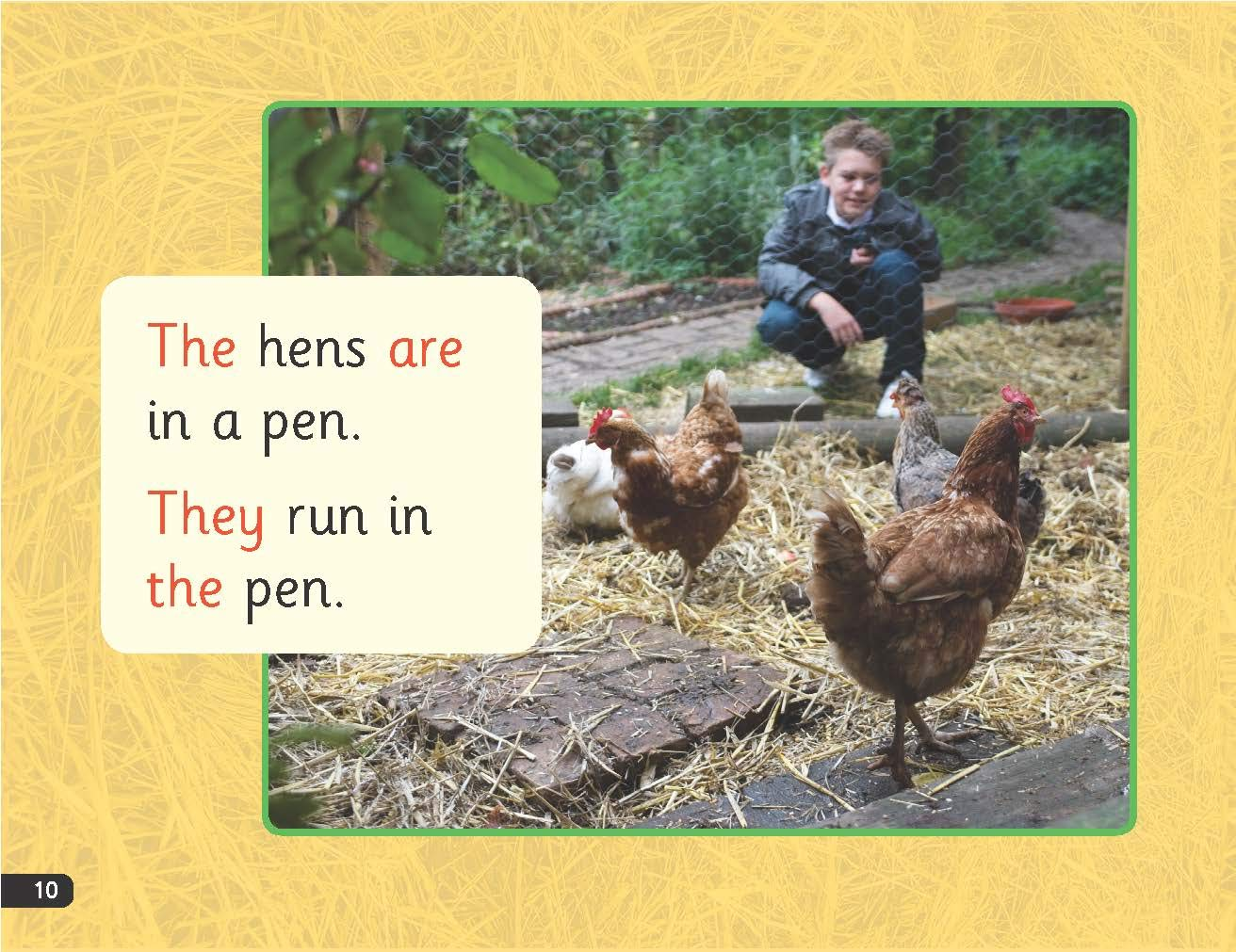 Read Write Inc Phonics: Purple Set 2 Non-Fiction Mixed Pack of 5 image number 1