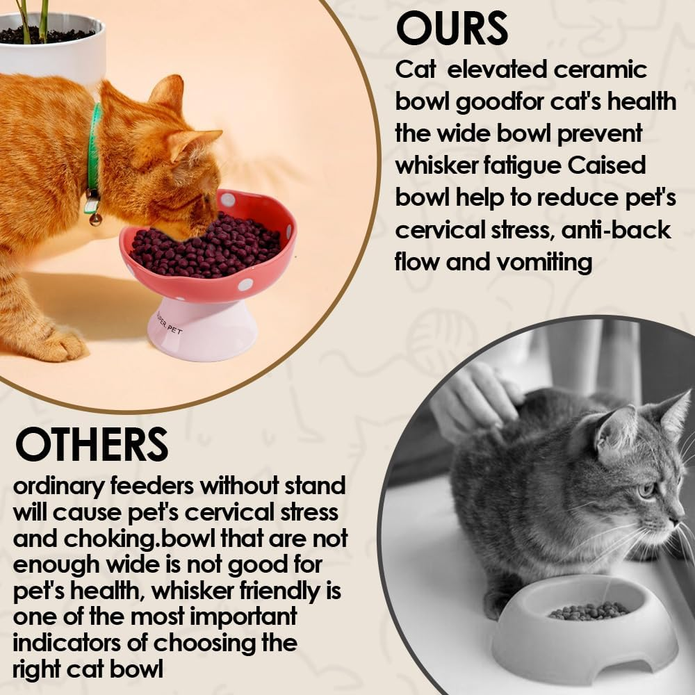 Ceramic Elevated Cat Bowls, Tilted Raised Pet Dish anti Vomit Kitten Bowl for Indoor Cats, Whisker Friendly Pet Food and Water Bowl for Kitten, Cat, Puppies, Dishwasher Safe (Red) - Red image number 6