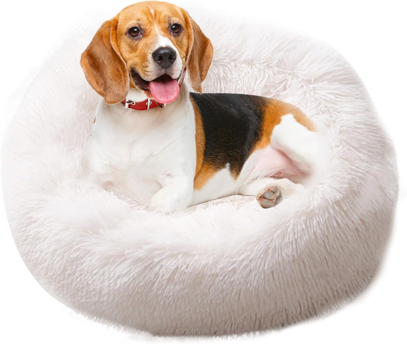 PETCUTE Large Cat Bed Fluffy Dog Beds for Medium Large Dogs Cozy Pet Bed Washable Soft Dog Beds Pet Supplies image number 1