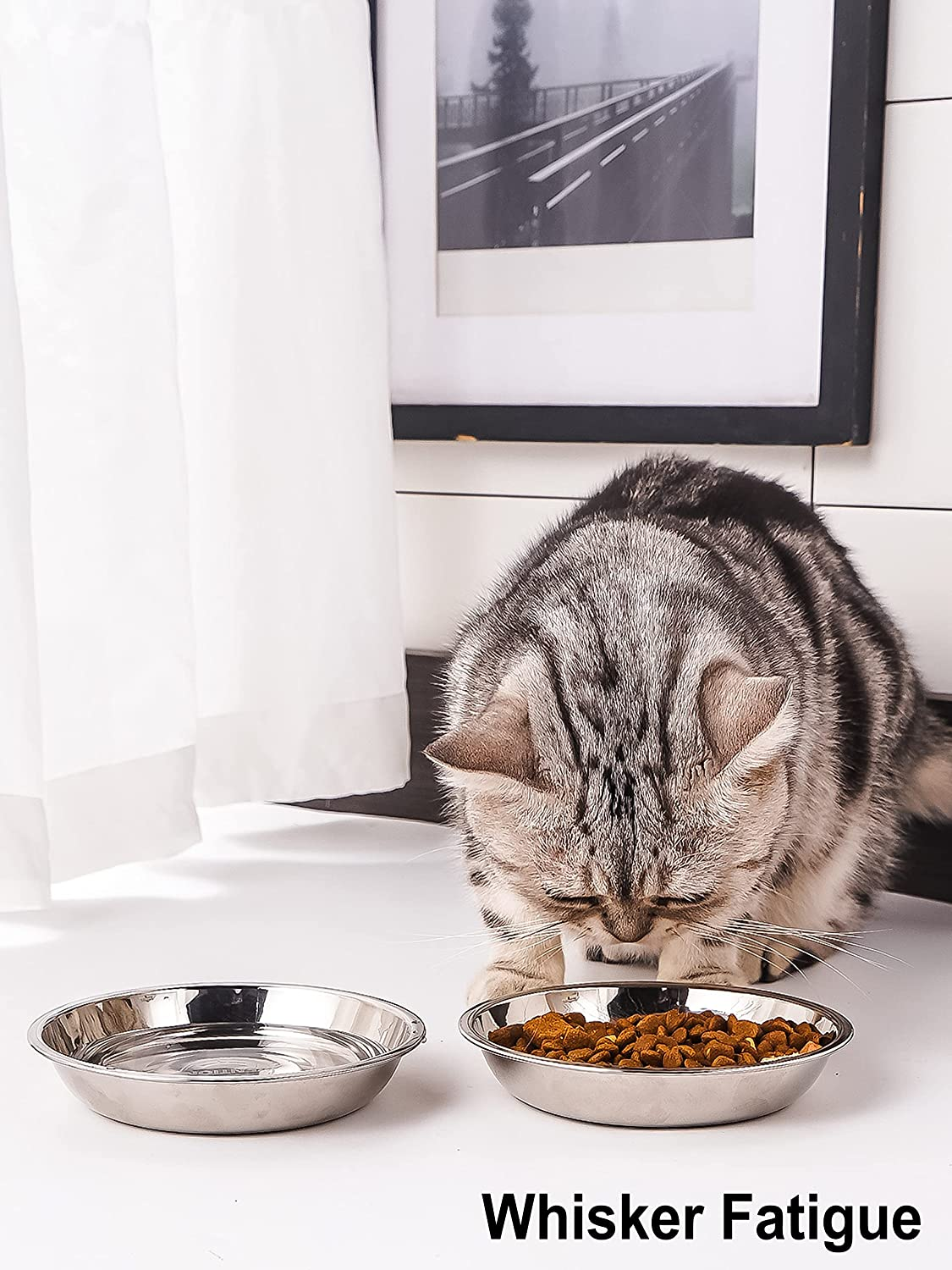 VENTION Stainless Steel Whisker Relief Cat Food Bowl, Shallow Metal Cat Bowls Set, 7 Oz Replacement Pet Cat Feeding Dishes for Raised/Elevated Stands, Work for Dog Plate, Dishwasher Safe, Set of 4 image number 5