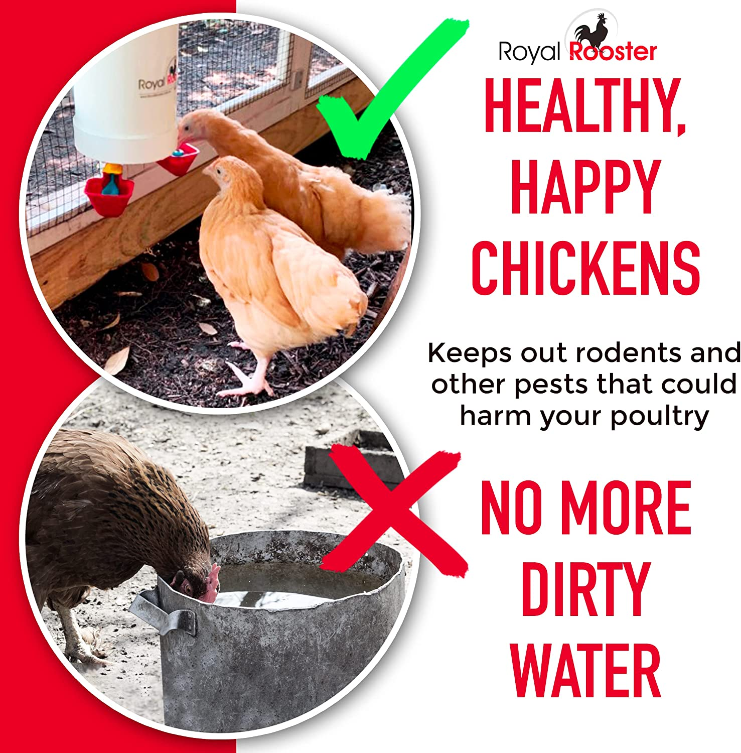 Royal Rooster 4 Litre Automatic Twin Chicken Waterer with 2 Gravity-Feed Valve-Operated Cups - Indoor and Outdoor Coop Hanging Chicken, Duck and Poultry Water Dispensing System with 2 Drinking Cups image number 5