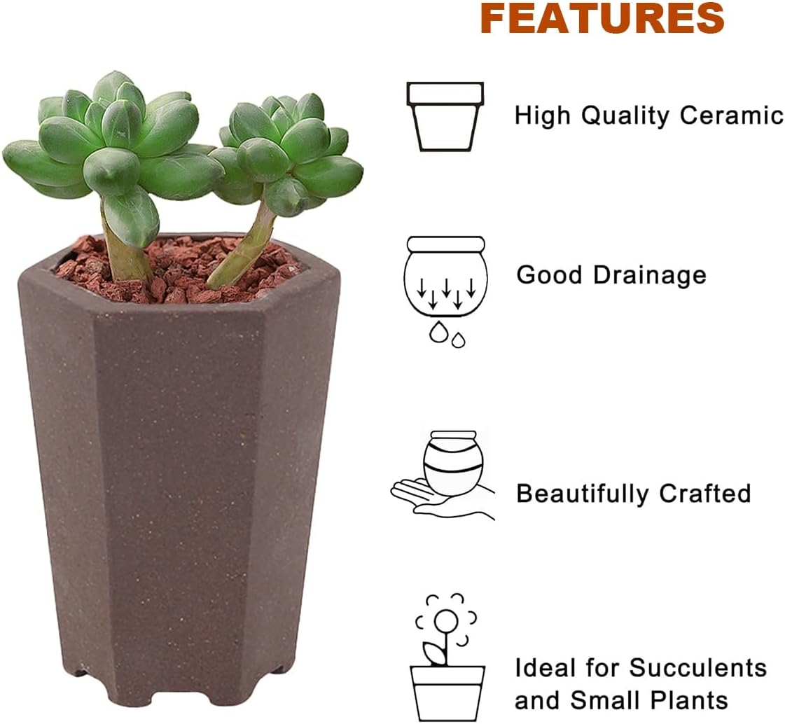 Happy Bonsai 4 Pc Zisha Mini Bonsai Pots 2" Width image number 2