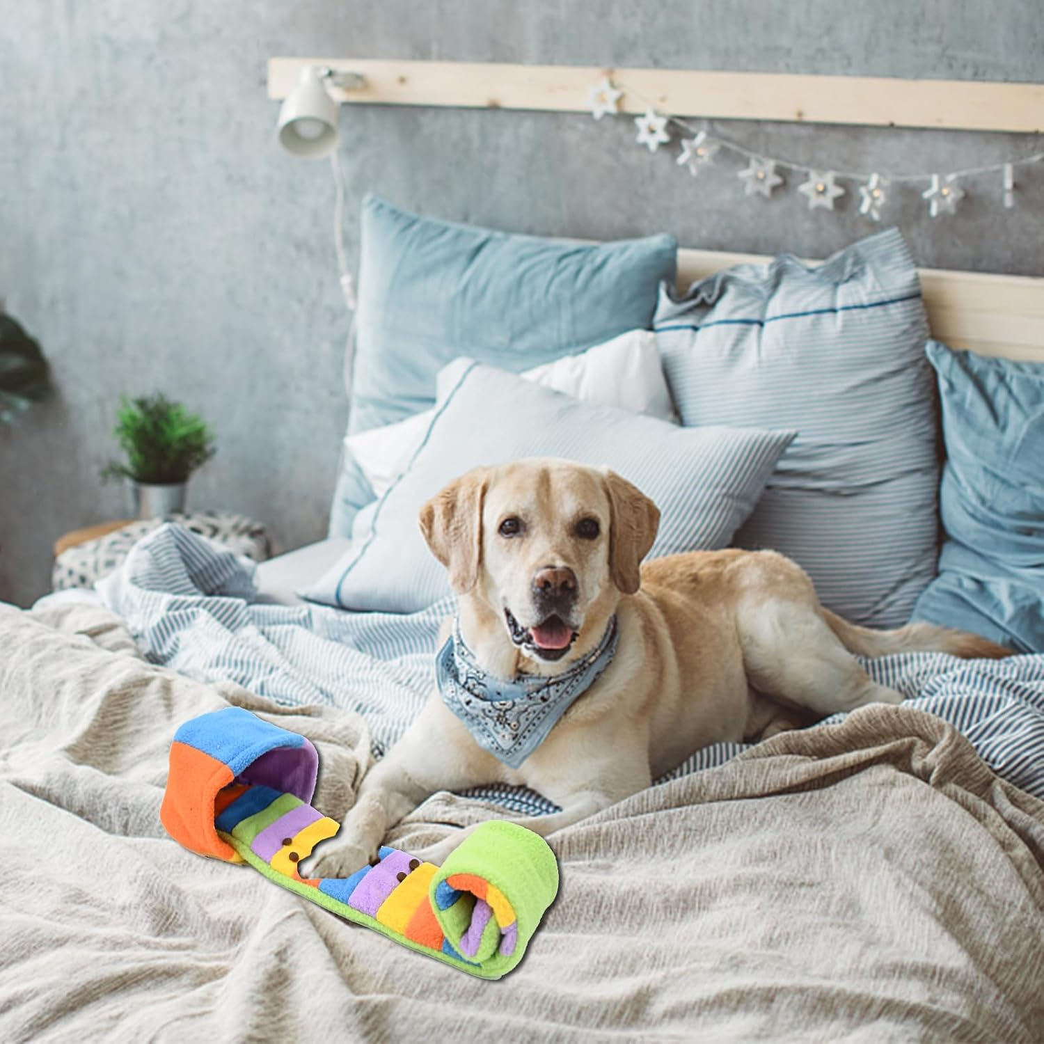 Fadcaer Foraging Dog Toy - Interactive Snuffle Mat for Small & Medium Dogs - Squeaky Puppy Toys for Training & Stress Relief (Rainbow) - Unicorn-Coloured image number 2