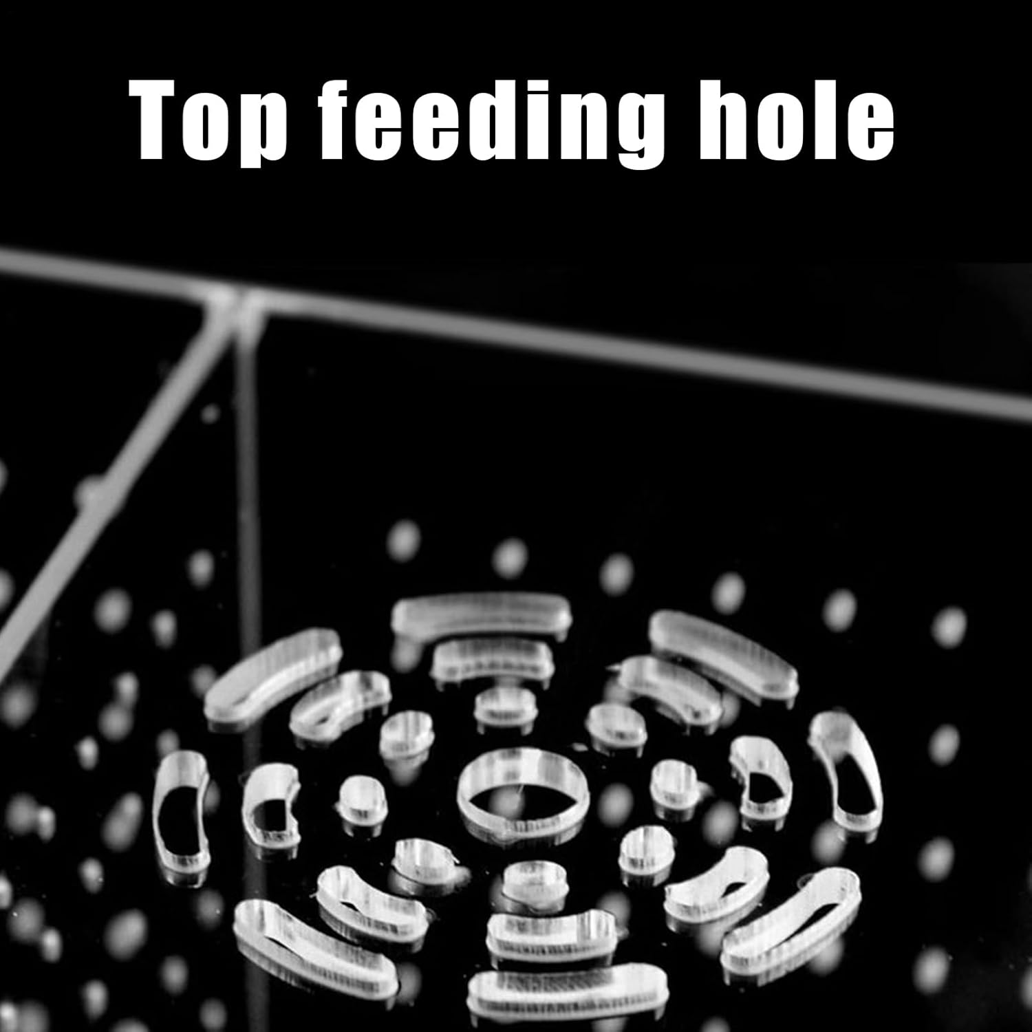 Vgvgaj Fish Breeder Box - Suction Cup Aquarium Breeder Box - Acrylic Nursery Divider Container Hatchery Incubator for Shrimp Guppy Egg Angelfish Fry Acclimation image number 3