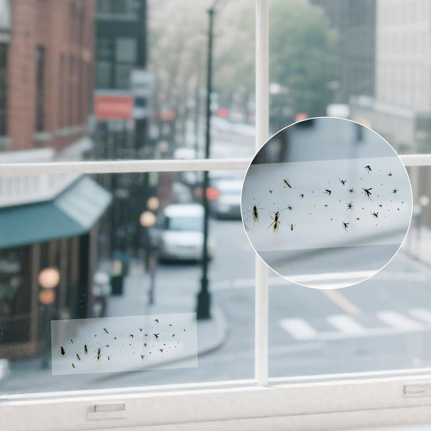 30Pcs Window Fly Traps Transparent Double-Sided Fly Stickers Small Flying Insects Fly Traps Sticky Insect Boards Suitable for Indoor Houseflies Mosquitoes and Flying Mosquitoes image number 5