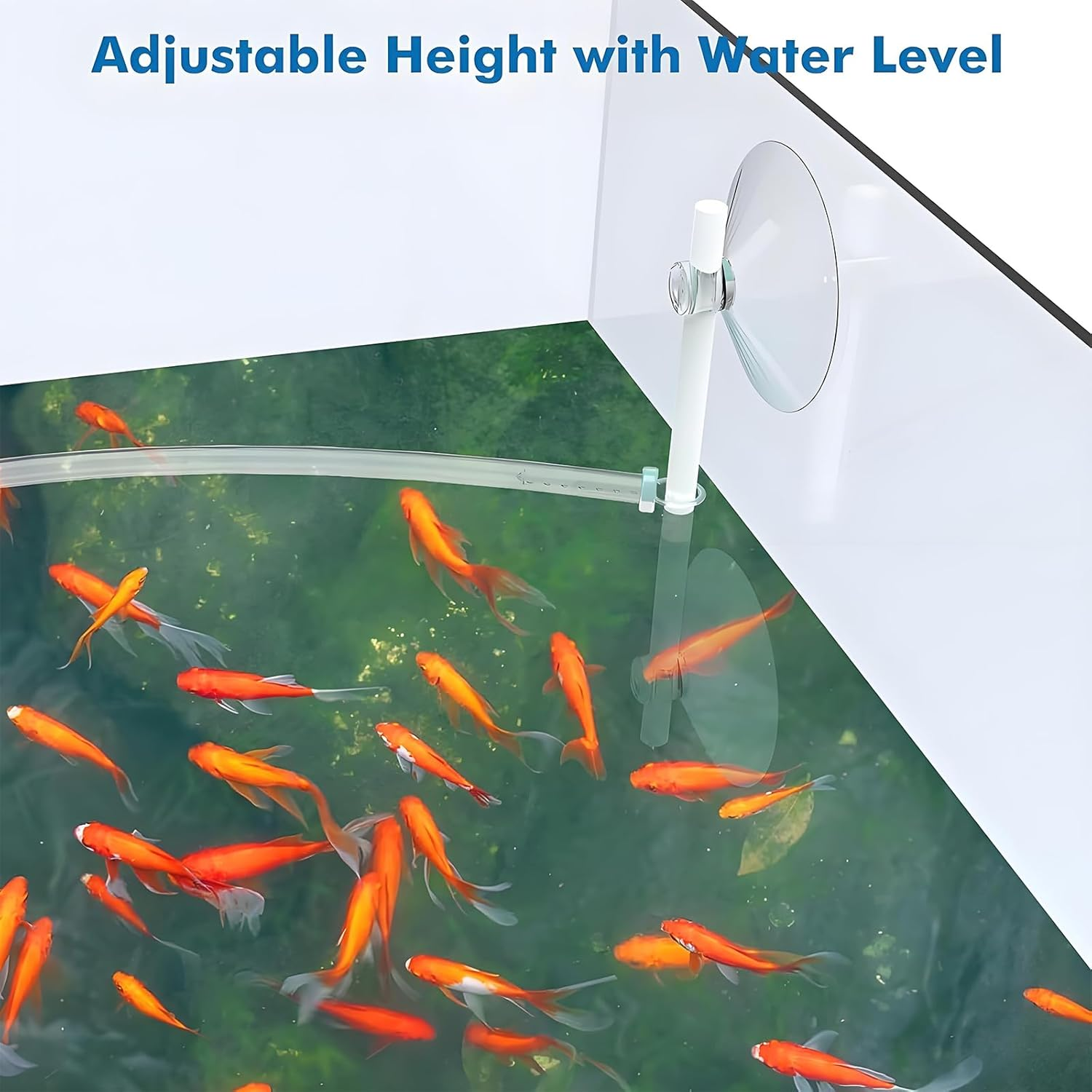 Aquarium Floating Plant Fence - Adjustable Height Fish Feeding Ring - Transparent Barrier - Suction Cups - Multi-Purpose Interceptor Floating Plant image number 1