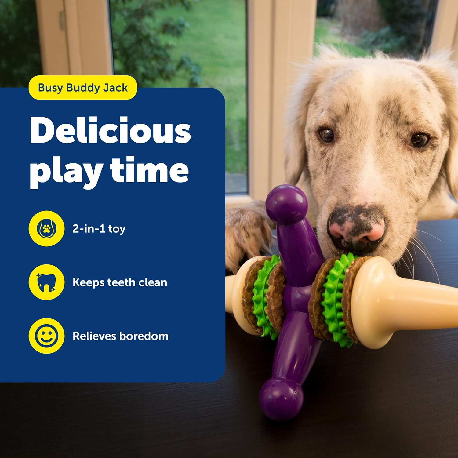 Petsafe Busy Buddy Jack Dog Toy image number 1