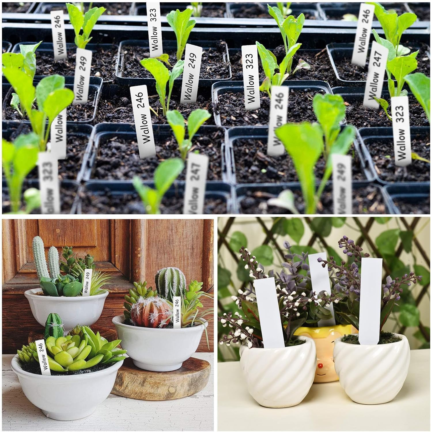 Garden Stake Tags Plant Labels Garden Labels Vegetable Gardening Sign Plastic Waterproof Plant Tags(4 Inch 100 Pcs White) image number 5