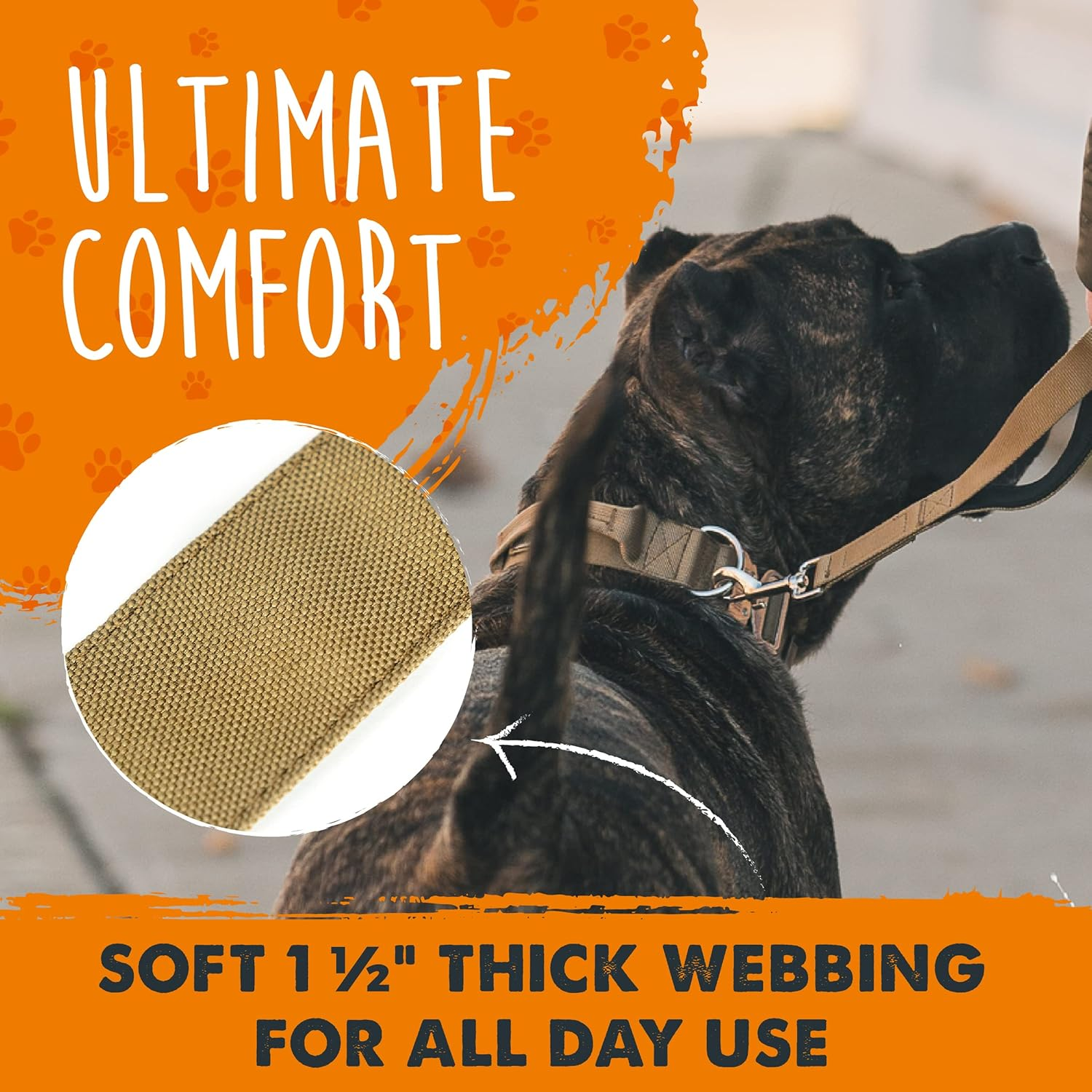 Mighty Paw Tactical Dog Collar - Heavy Duty with Metal Buckle and Control Handle - Weatherproof Polyester Material - Sturdy Metal Dog Collars - Dog Collar for All Dog Breeds - Heavy Dog Collar - Tan image number 3