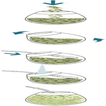 Kurupi Yerba Mate Traditional Tea, 1 Kg image number 3