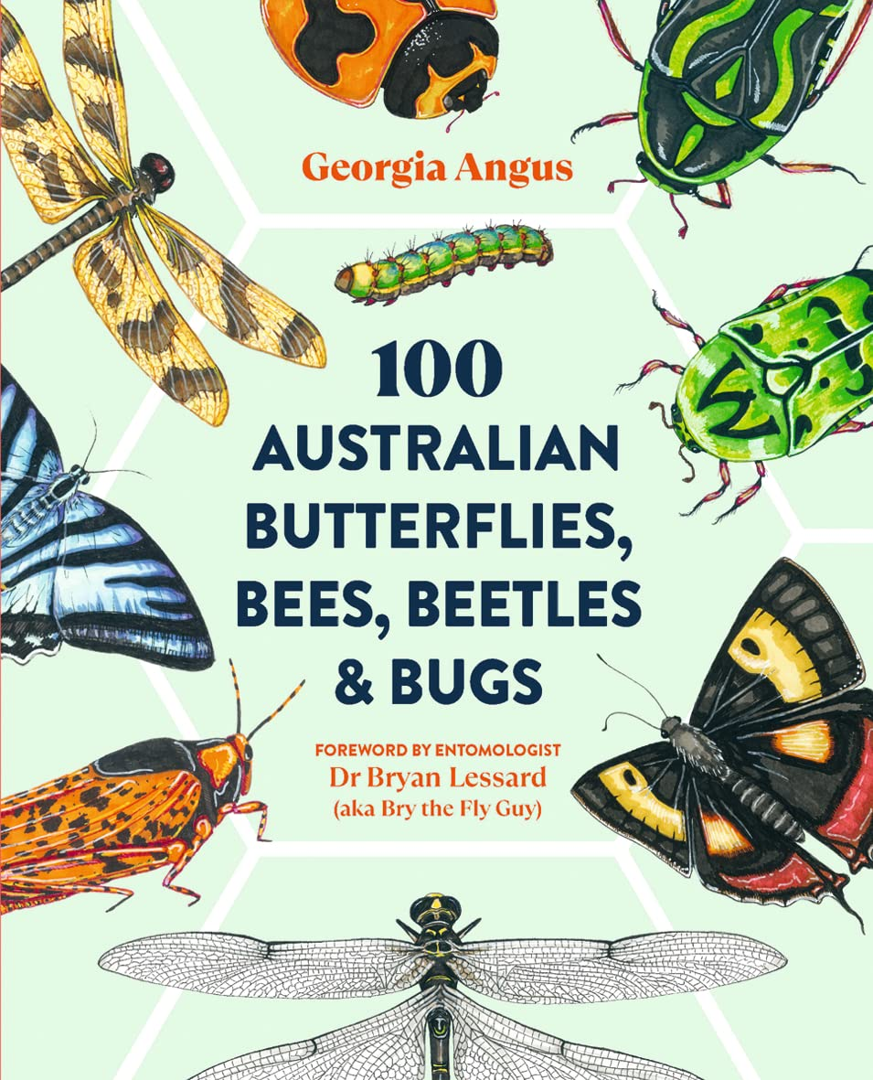 100 Australian Butterflies, Bees, Beetles & Bugs image number 5