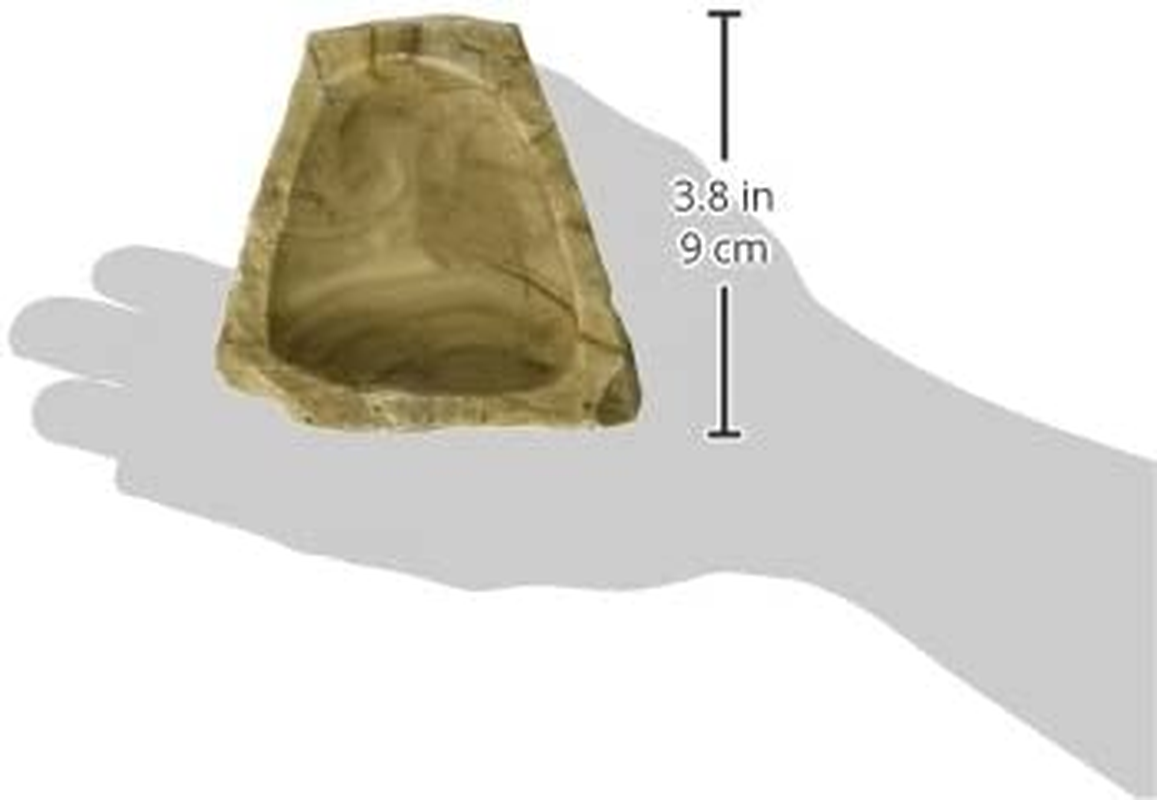 Fluker'S Reptile Bowl, Extra-Small image number 1