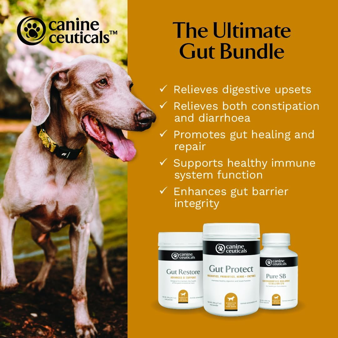 Canineceuticals - the Ultimate Gut Bundle - Digestive Health Support for Dogs - Restore Healthy Intestinal Flora - Promote Gut Healing & Repair - Reduce Inflammation - Normalise Bowel Movements image number 5