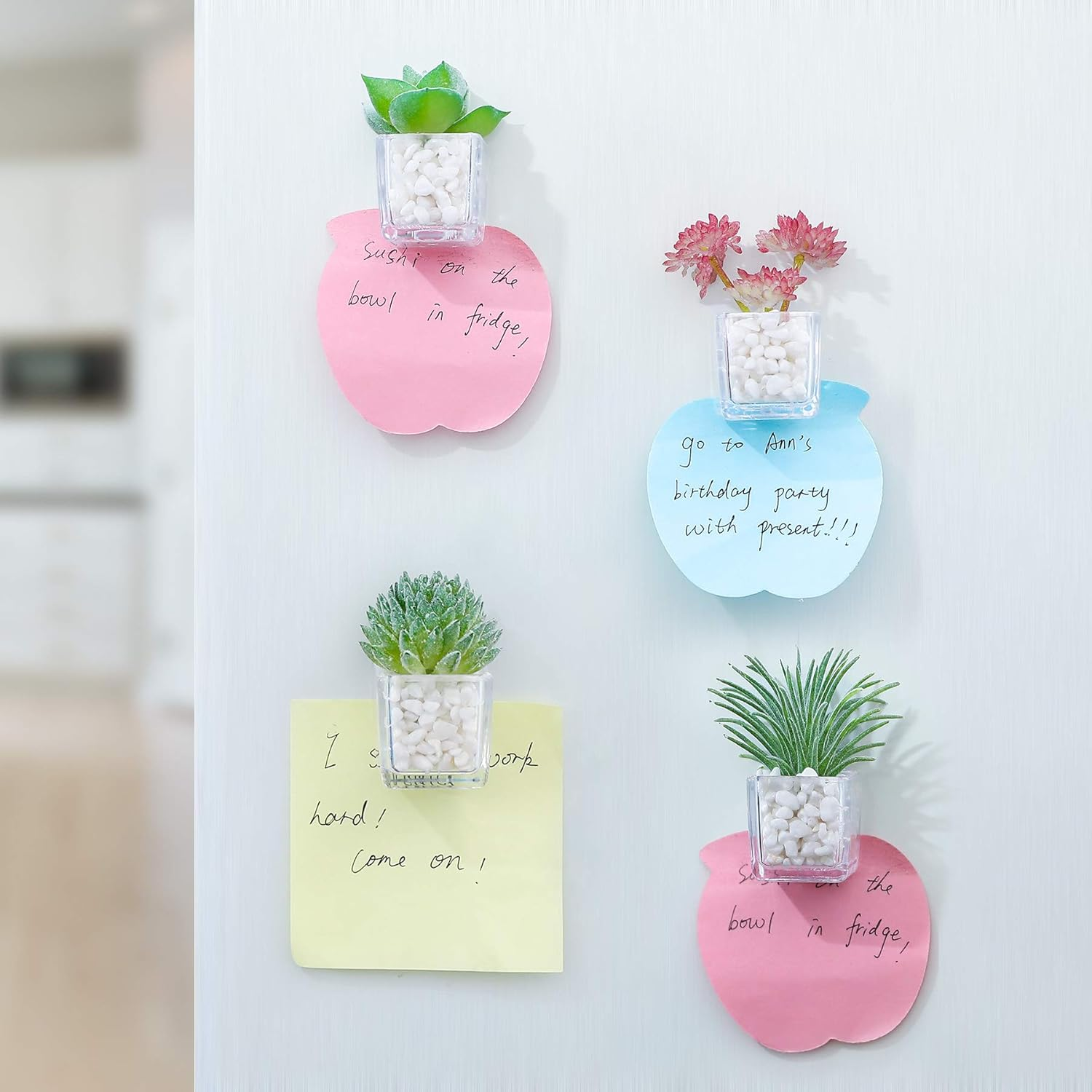 Cute Succulent Refrigerator Magnets Plants Fridge Magnets,Mini Artificial Magnets for Refrigerator Set of 4,Decoration Kitchen,Whiteboard,Office,House - Succulent image number 5