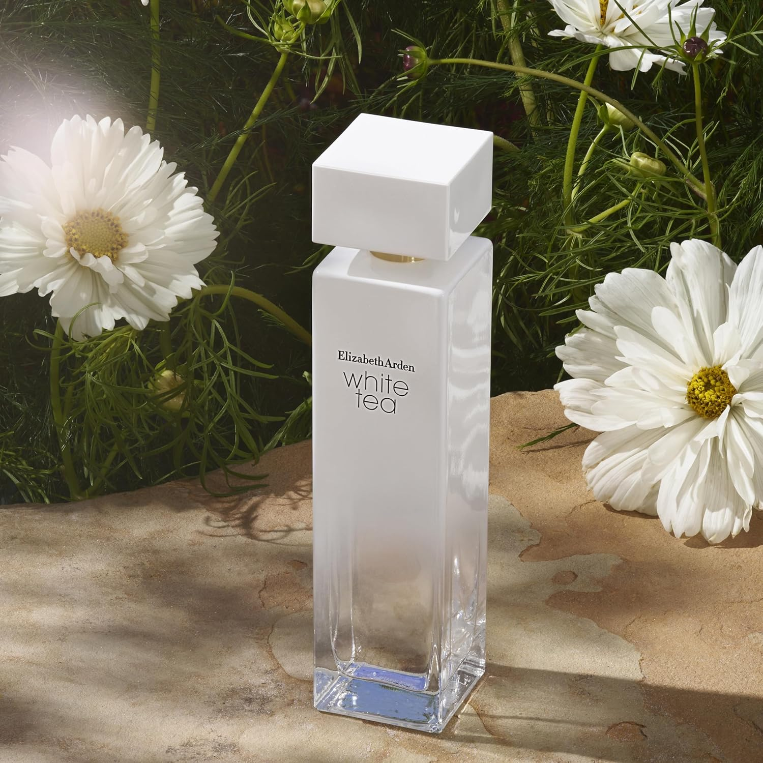 Elizabeth Arden White Tea image number 3