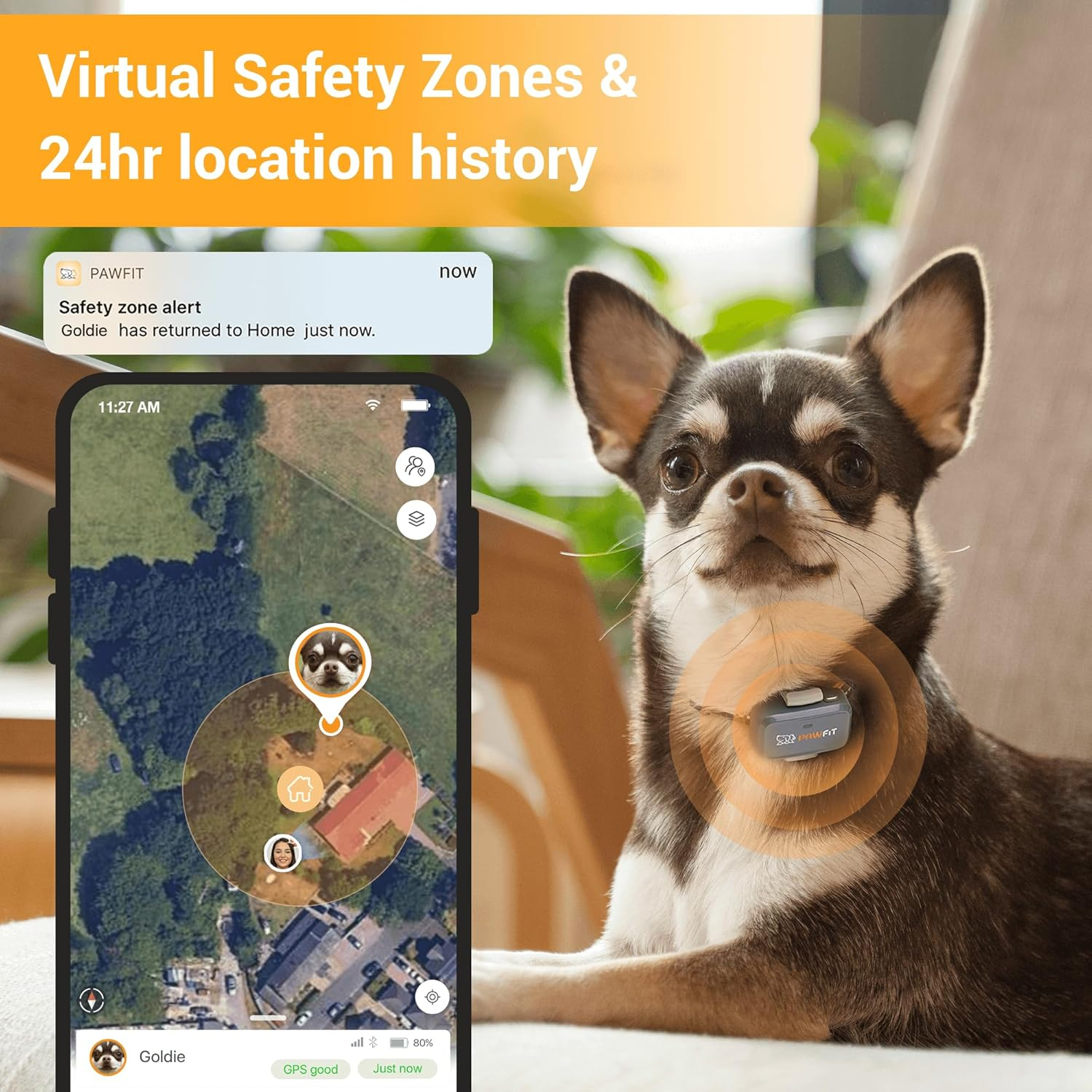 Pawfit Lite for Small Dogs 4G GPS Tracker | Real Time Tracking | Activity Monitoring |Location History | Unlimited Range | Charcoal Grey image number 3