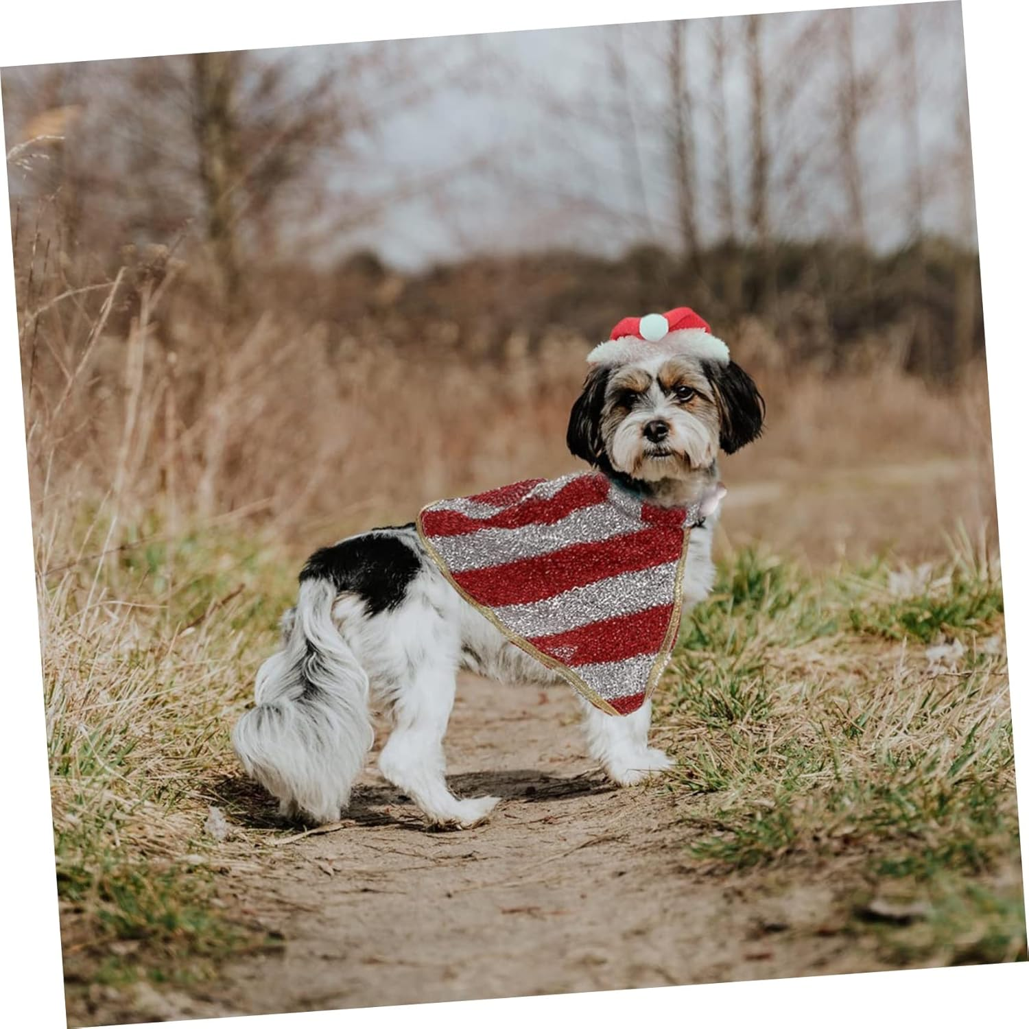 Cat and Dog Clothes Santa Hat and Cape Set for Pet Christmas Costume Winter Dress up Clothing for Dogs for Holiday Parties image number 5