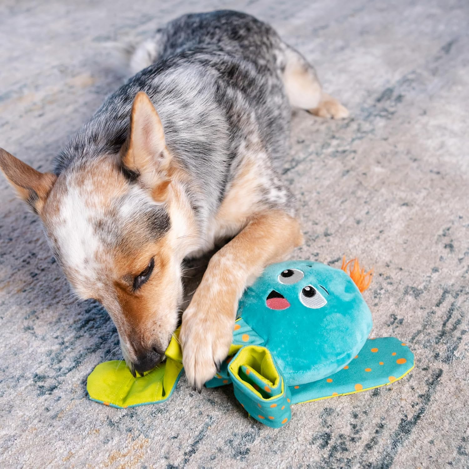 Outward Hound Nina Ottosson Silly Legz Interactive Plush Dog Puzzle, Dog Enrichment Toys, Plush, Floppy, Long, Octopus, Blue image number 3