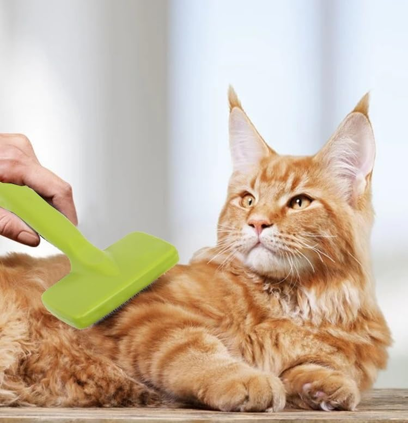 Pin Dog Slicker Brush for Dogs Poodles,Dog Grooming Brushes for Medium & Long Haired Dogs Labradoodles,Softens and Shines Pet Hair,Removes Loose Hair (Green, One Size) image number 3