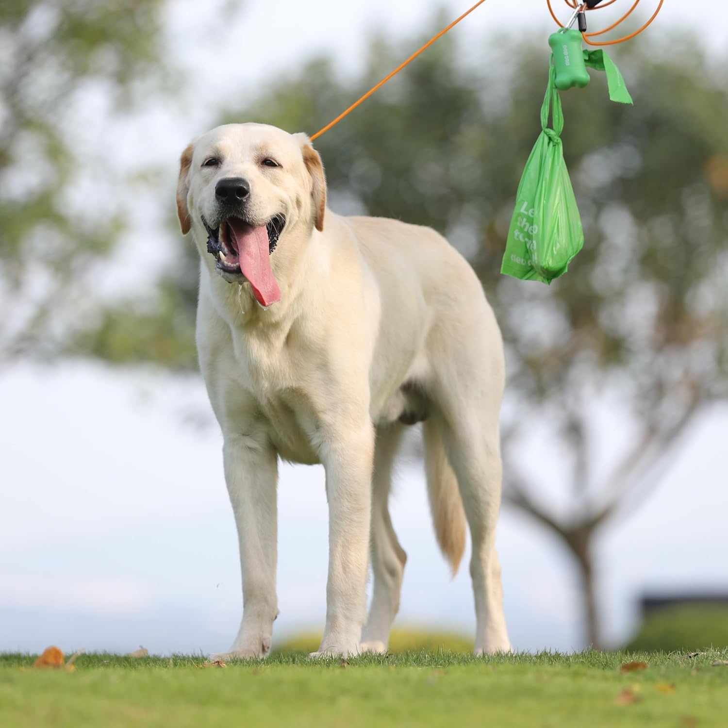 Dog Poop Bags with Handles Sakura Scented 120 Counts 8 Rolls Leak Proof and Extra Thick Waste Bags Refill Rolls for Small Medium Large Dogs and Cats image number 3