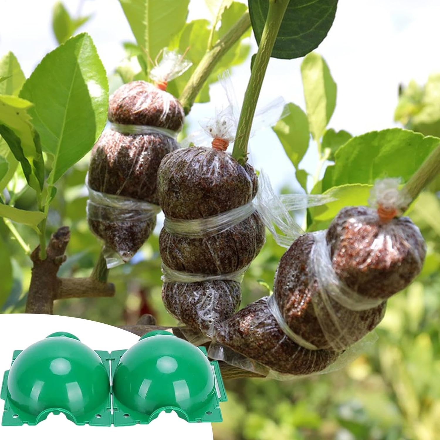 Propagation Ball | Reusable Air Layering Kit - Home & Gardening Accessory for Garden Yard Backyard Pathway Driveway Patio Men