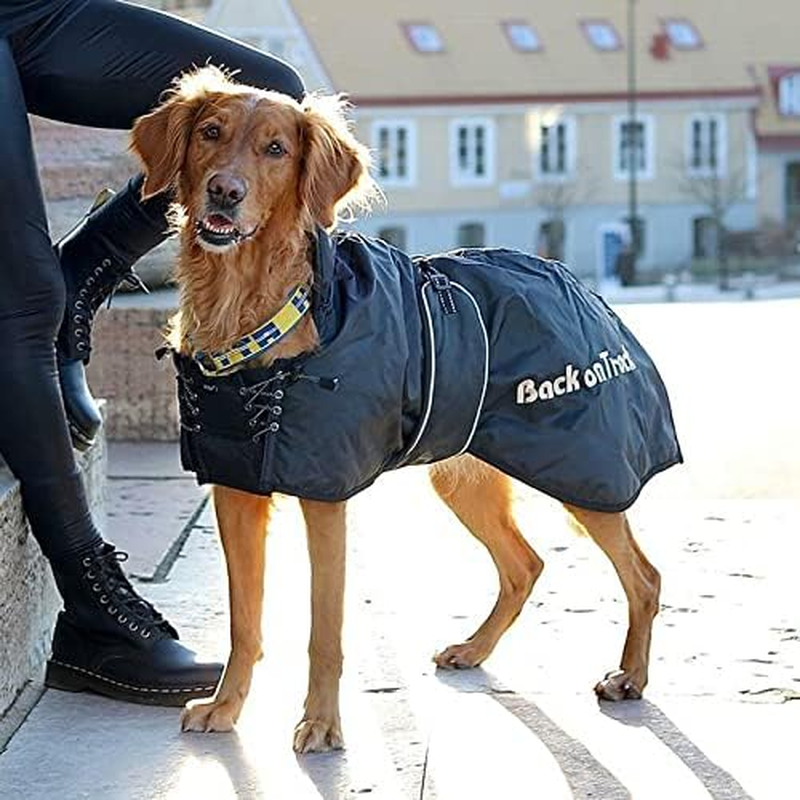 Back on Track Regular Dog Blanket - (55Cm) 20-23 - M - Black image number 3