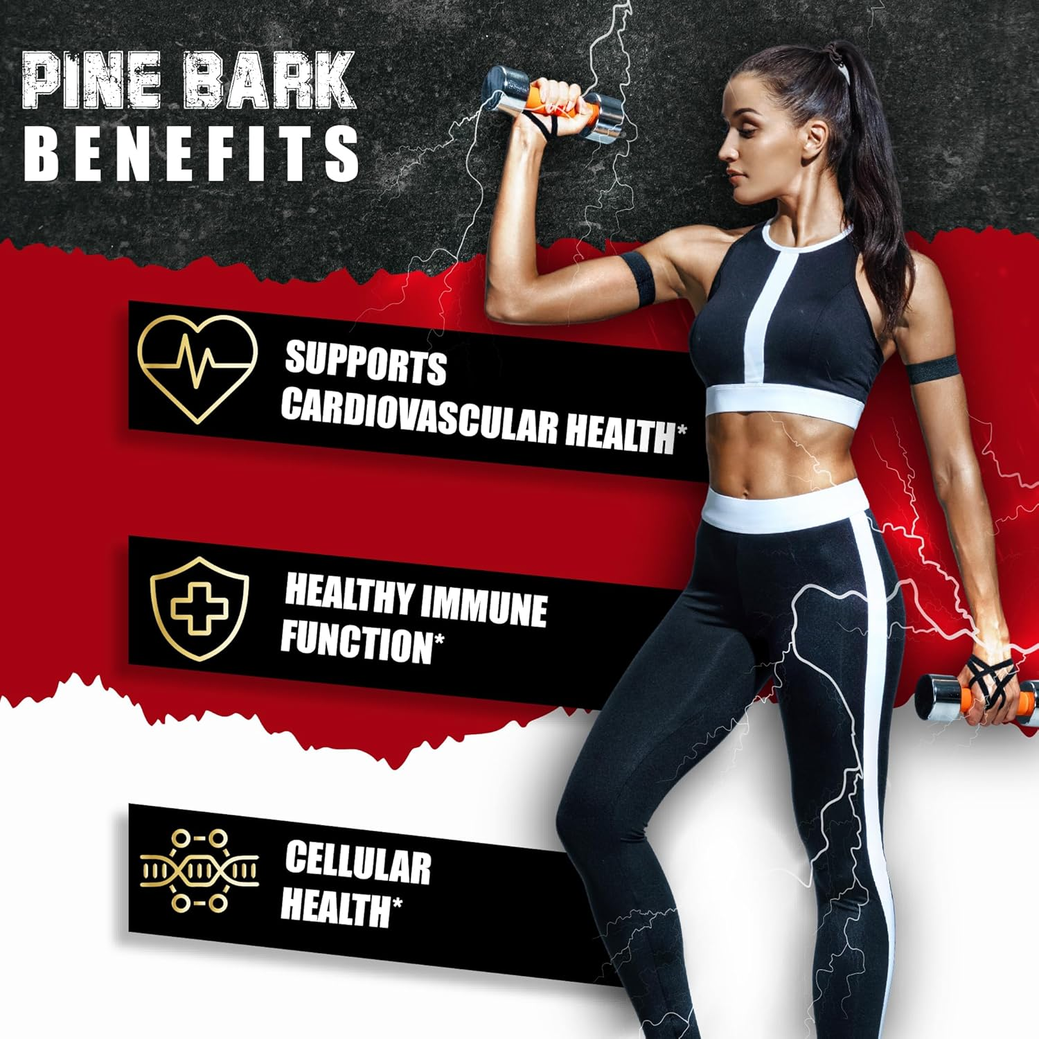 Pine Bark Capsules with Ashwagandha, Turmeric, Green Tea, Garcinia Cambogia, Moringa, Grape Seed, and Black Pepper - 150 Count - 5 Month Supply image number 2