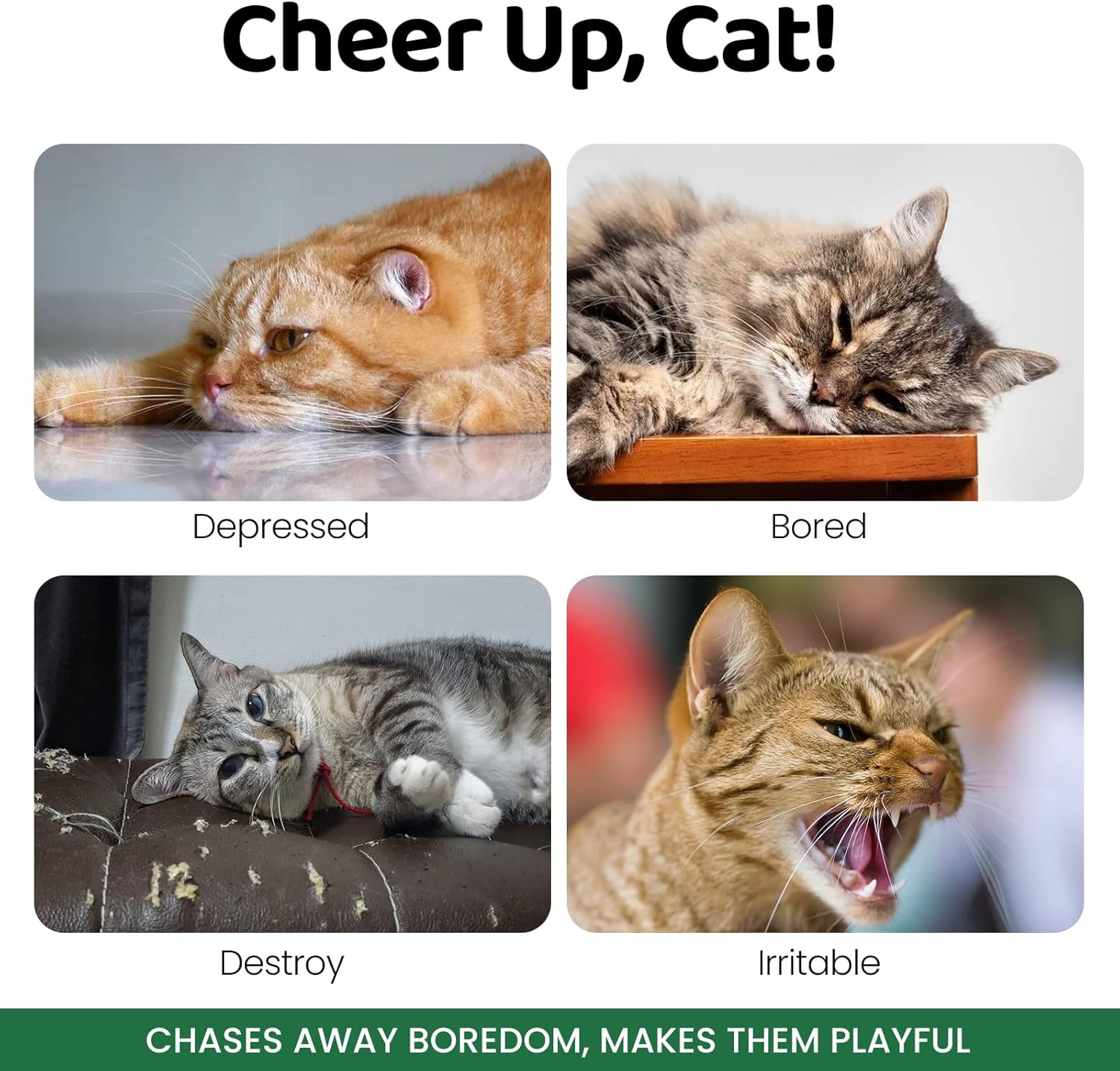 Interactive Plush Cat Toys Catnip Toys for Indoor Adult Kittens Cat Chew Toy for Teeth Cleaning Bite-Resistant Plush Caterpillar,Mouse,Hedgehog Design, Dental Health Benefits (3 PCS) image number 4