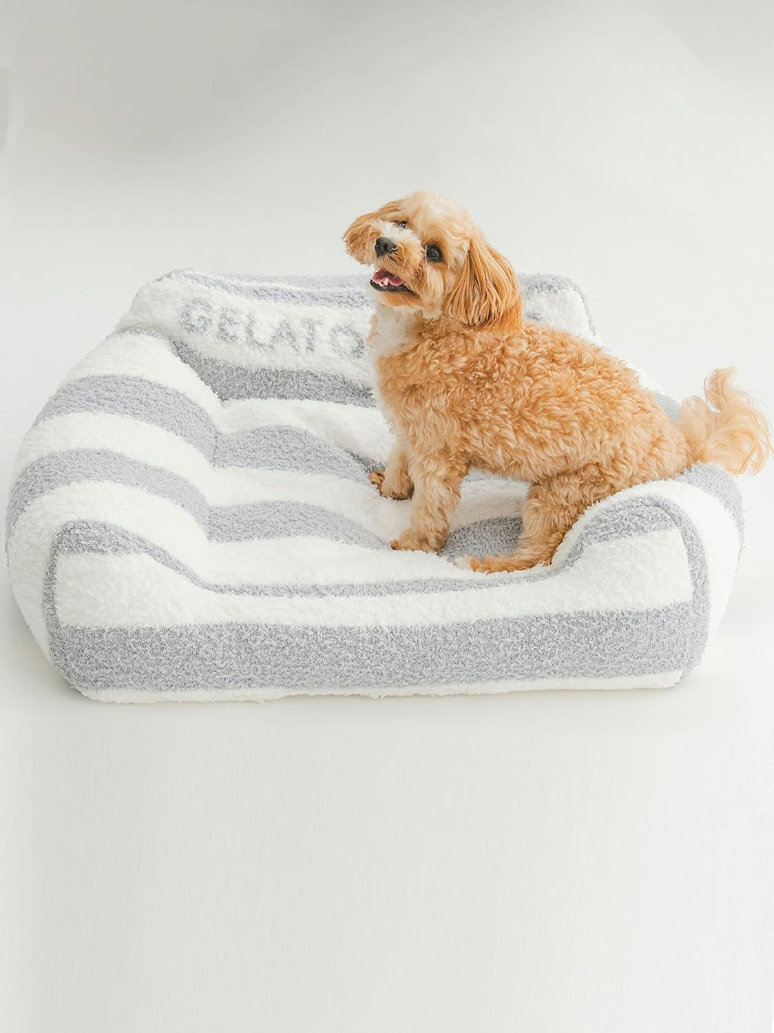 Gelato Pique Cat & Dog PAGG229501 BLU F Gelato Sofa Bed, Blue, F