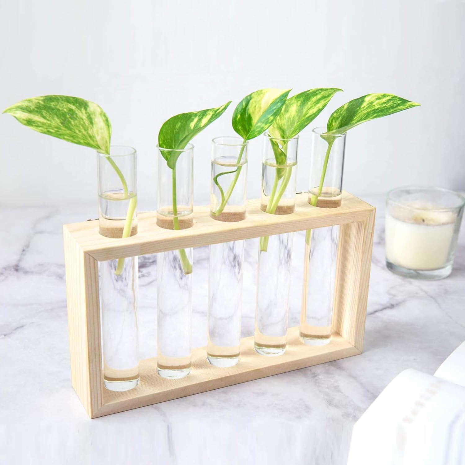 Desktop Plant Propagation Stations, Clear Cylinder Glass Foldable Vase Test Tube with Wooden Stand,Propagation Station,Gifts for Plant Lovers,5 Vases - A image number 3