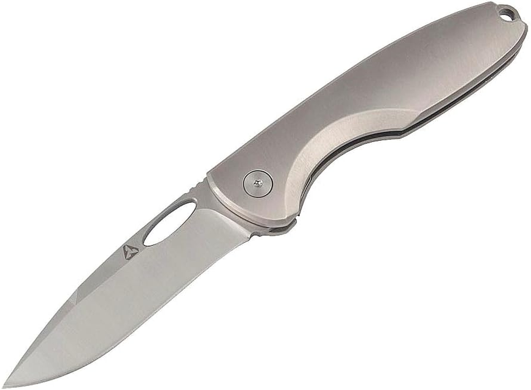 SAMFUNG Folding Pocket Knife, 3 Inch D2 Steel Blade and Titanium Handle, EDC Knife for Outdoor Camping Gift (Titanium)