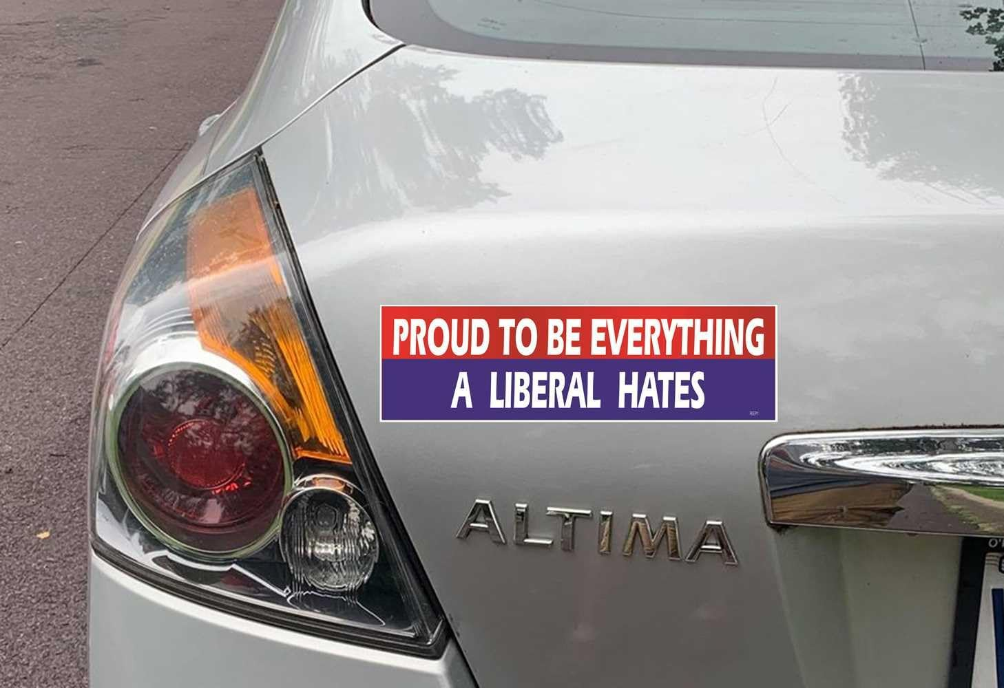 Gear Tatz - Proud to BE Everything a Liberal Hates - Political Bumper Sticker - 3 X 10 Inches - Professionally Made in the USA - Vinyl Car Decal image number 2