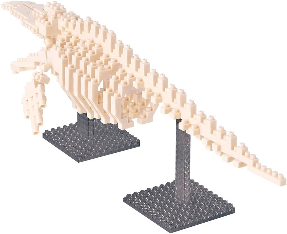 Nanoblock Blue Whale Skeleton image number 2