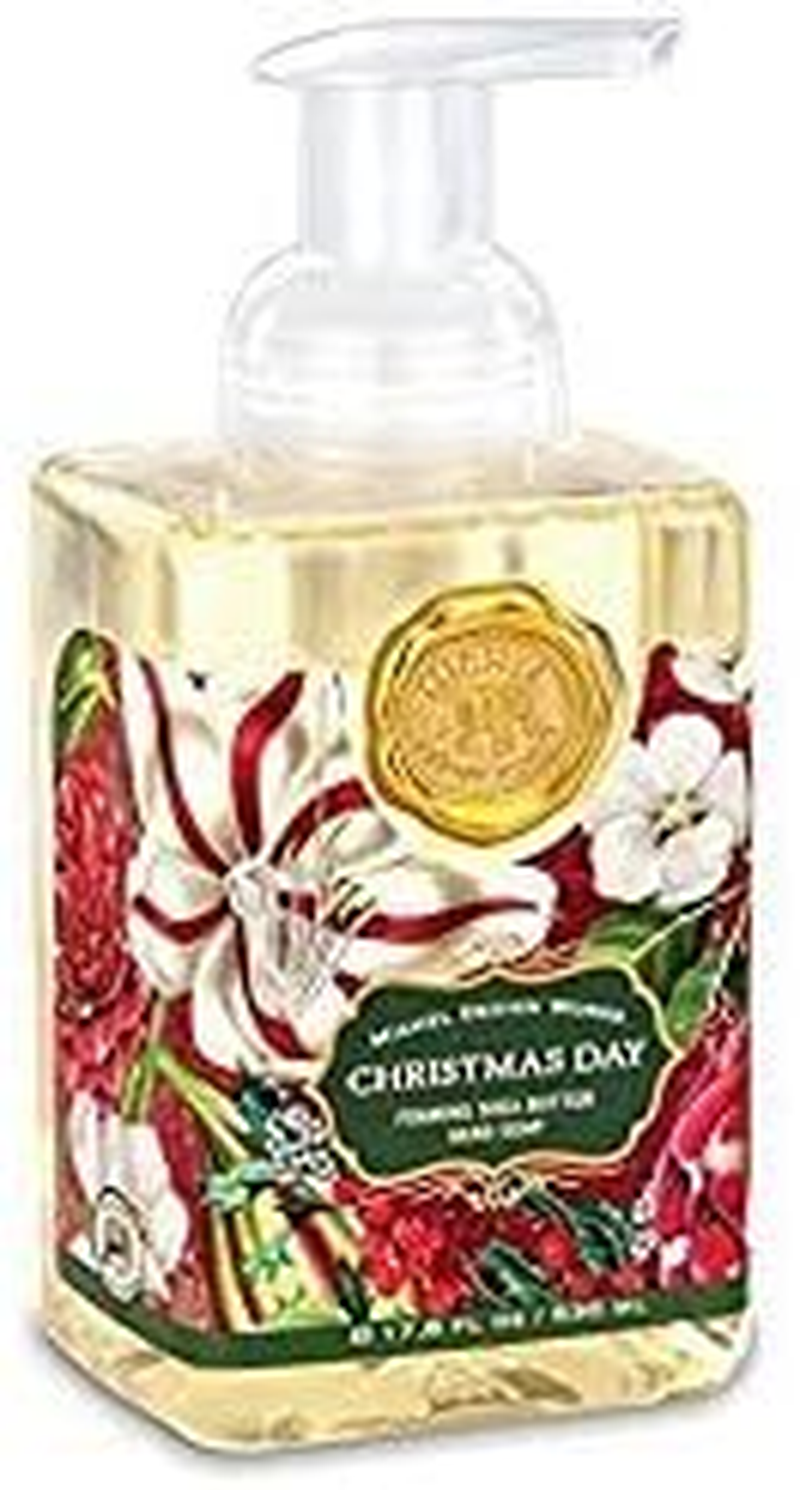 Michel Design Works Scented Foaming Hand Soap, Christmas Day