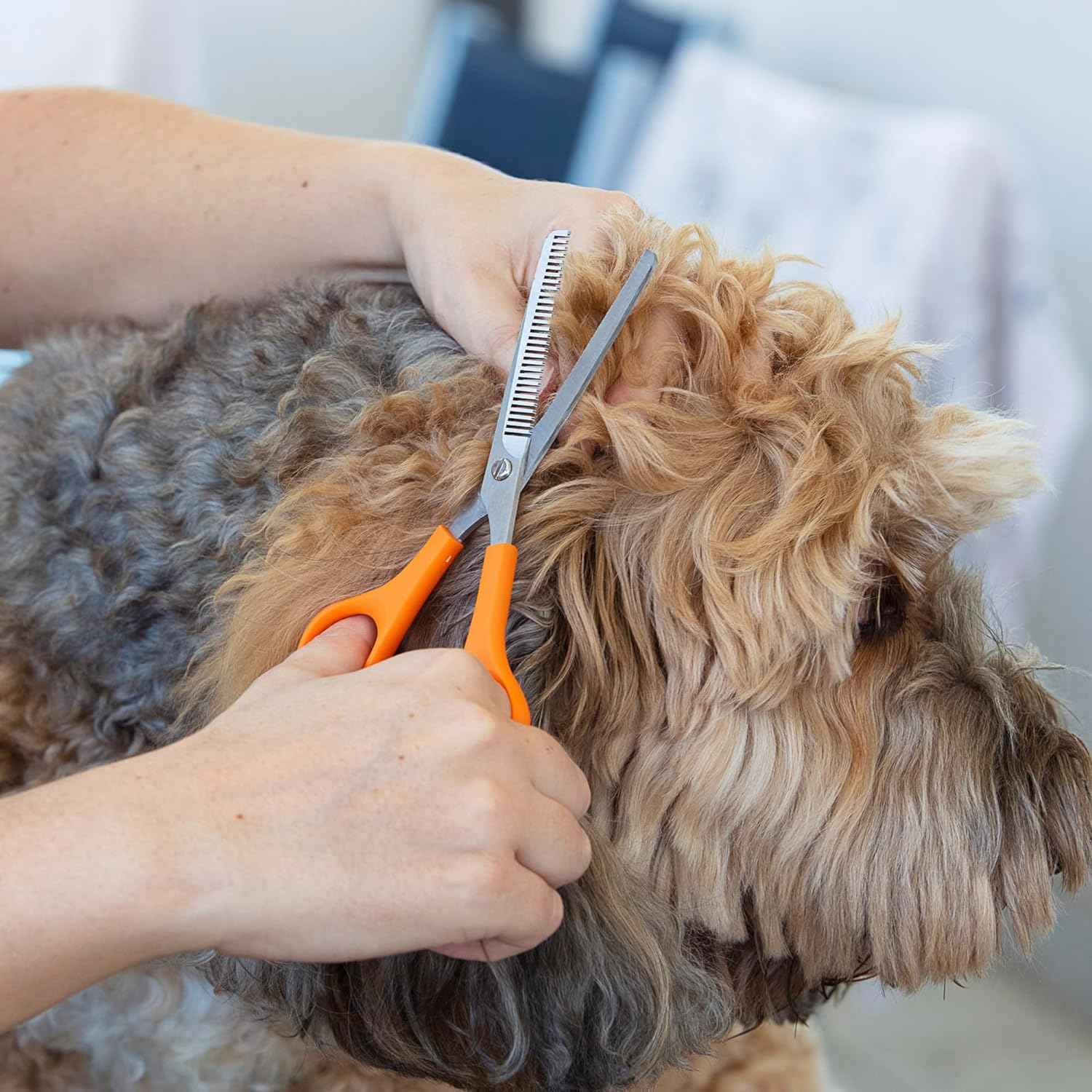 Wahl Thinning Scissors for Dogs, Orange/Silver image number 4