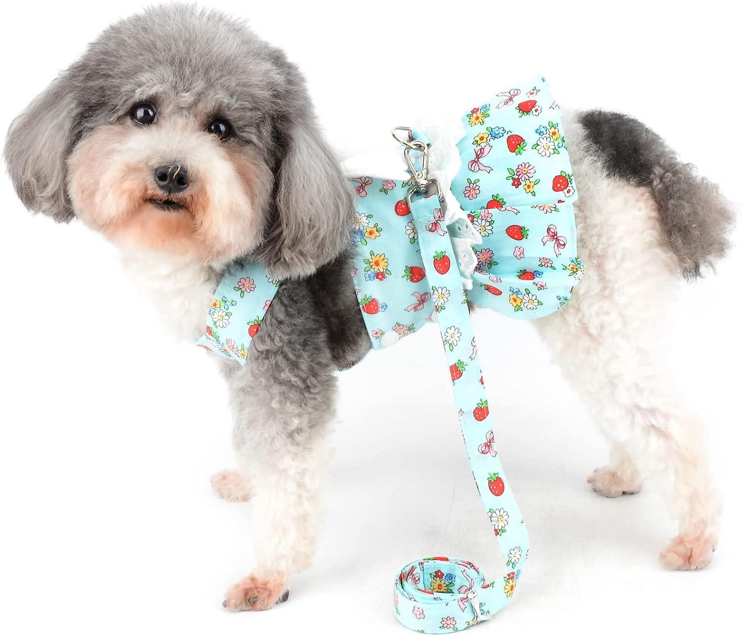 Zunea Small Dog Harness Dress with Leash Set No Pull Puppy Girls Vest Harnesses with Angel Wing Cute Princess Dresses with D Ring Flowers Strawberry Printed Pet Cat Chihuahua Clothes Blue M image number 5