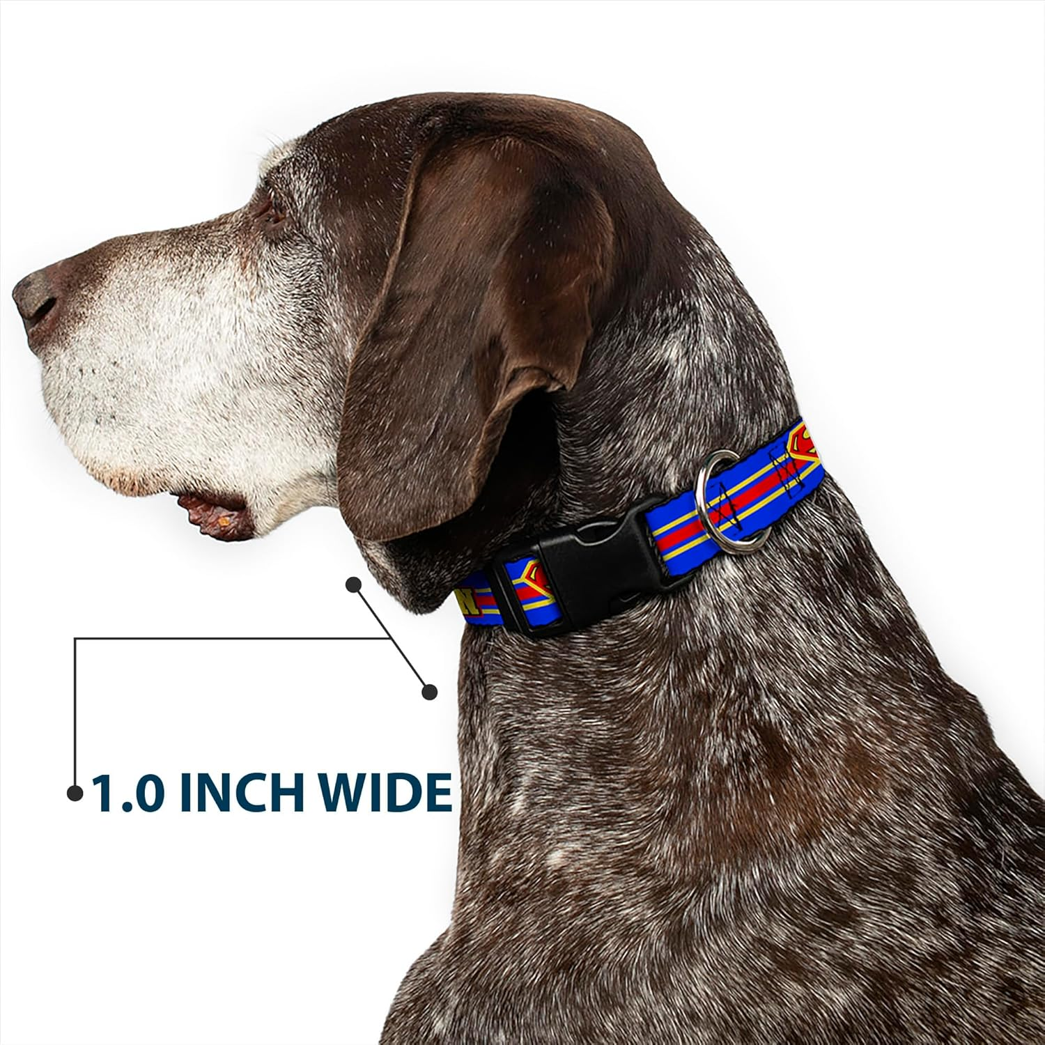 Buckle-Down Plastic Clip Dog Collar, Superman with Shield Stripe Blue/Yellow/Red, 15 to 26 Neck Size X 1.0 Inch Width image number 3