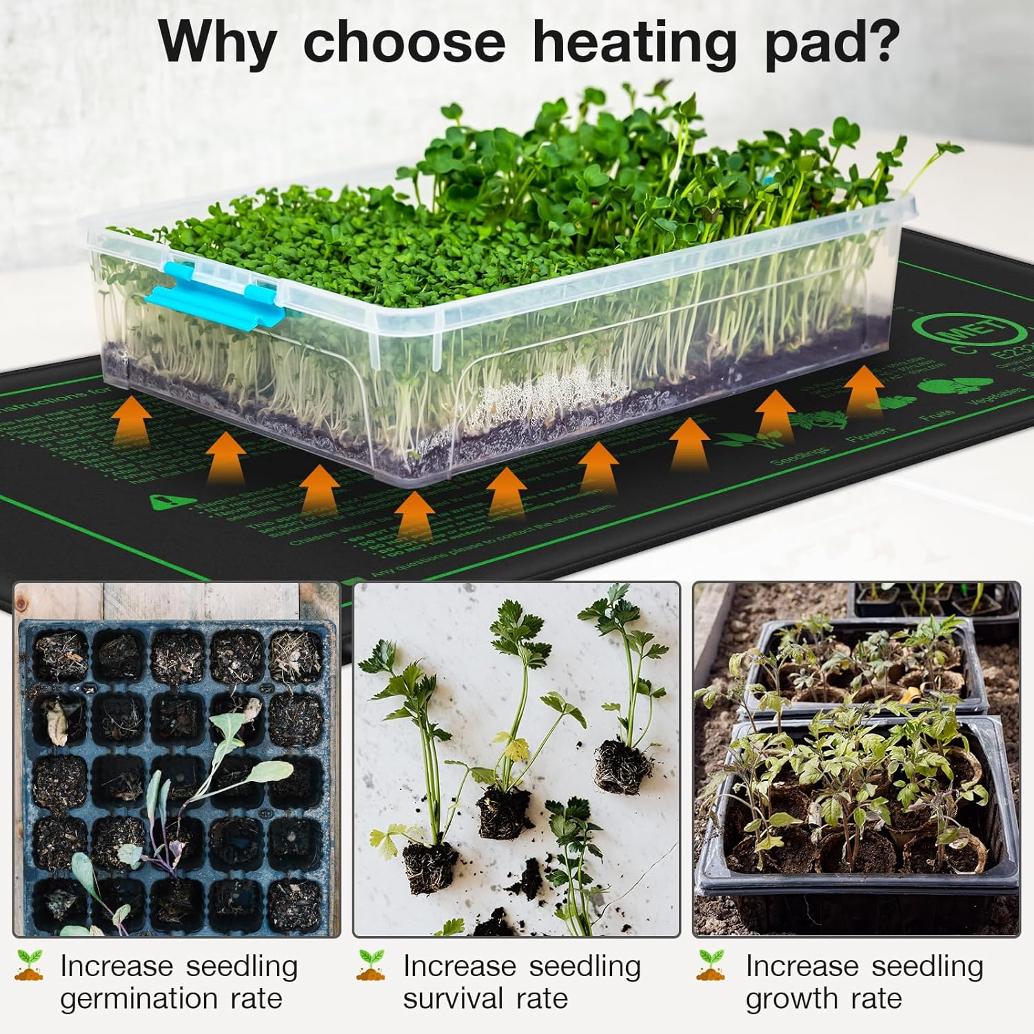 Mojimdo 50W Plant Heat Mat with Thermostat - Waterproof IP67, Fireproof V0, Energy Efficient Seedling Propagator & Warming Pad for Pets, Reptiles (25X52Cm) - 2 Pack image number 4