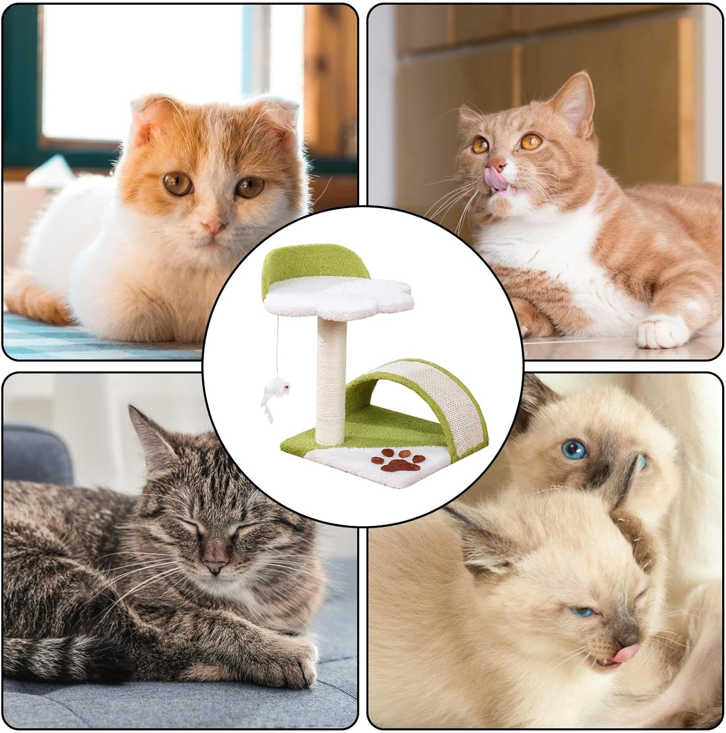 Cat Post for Indoor Cats | Cat Scratch Board,Cat Teaser Ball Kitten Scratcher Toy, Sisal Scratch Board - Claw Grinding, Sisal Cat Tree Tower for Kitten image number 2