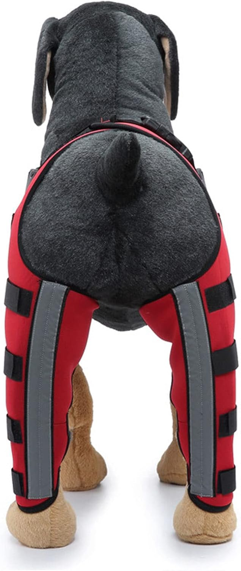 Dog Knee Brace, ACL Support for Leg Stability, Reflective Strips, Neoprene Material, Professional Design, for Large Medium Small Dogs (S)