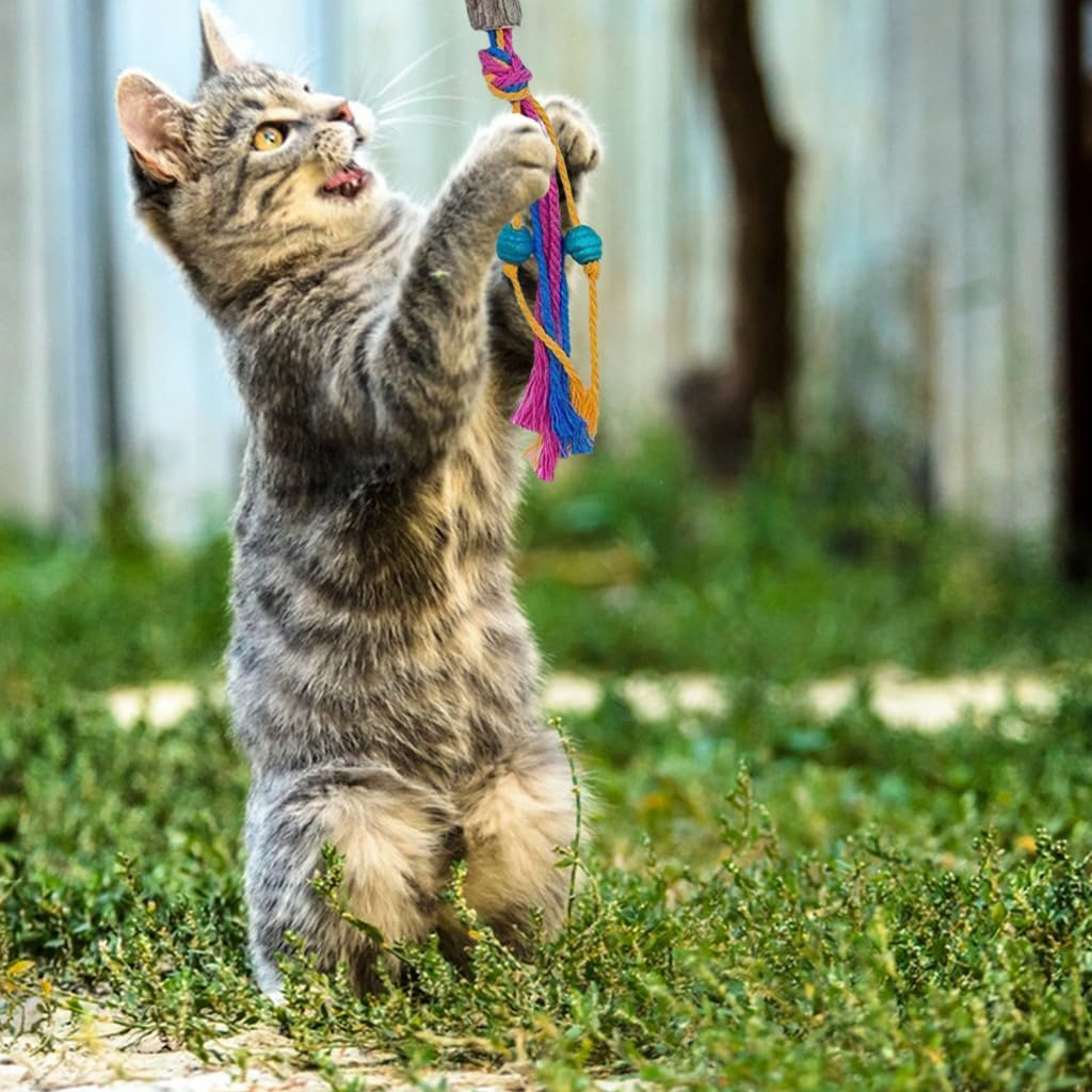 Diiwmme Catnip Toy Bite Rope,Interactive Cat Toy for Indoor Cats Kitten Natural Cat Chew Toy Kitten Teething Toys Cotton Rope Catnip Toys for Teeth Cleaning & Stress Release,55 CM (Green)