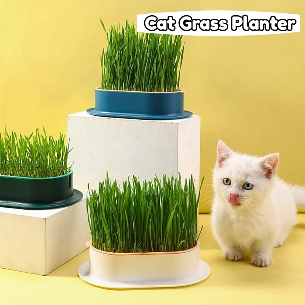 Cat Grass Planter Plastic Grass Box for Indoor Cat Grass,Practical Soil Free Growing Containers (Pink2) - Pink1 image number 6