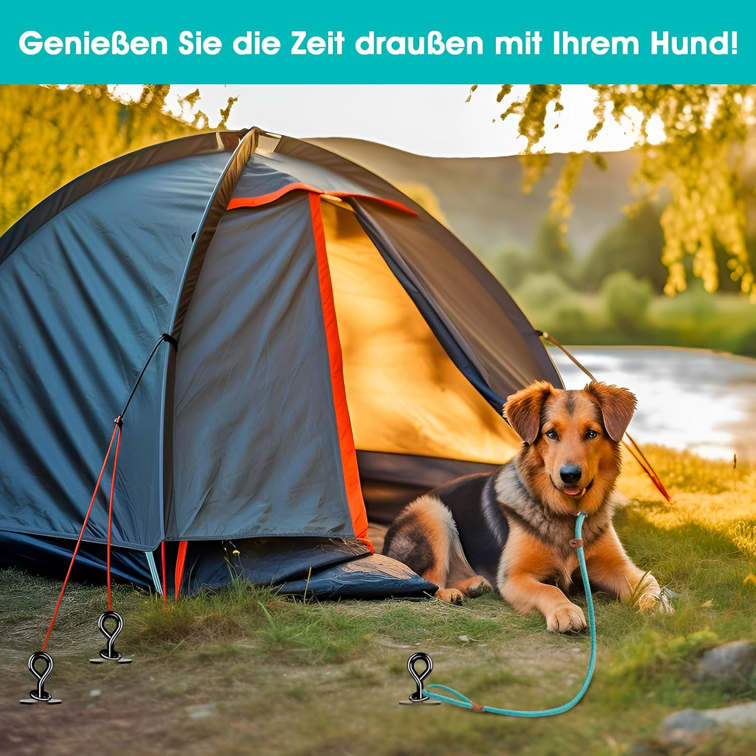 Ground Anchor Dog, Ground Anchor for Screwing in for Small, Medium, Large Dogs up to 220 Lbs, Spiral Blade Anchor Stake for Yard, Lawn and Beach (Rounded) image number 6